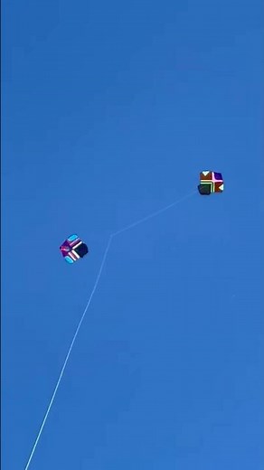 kite flying shorts #kite #kiteflying #shorts