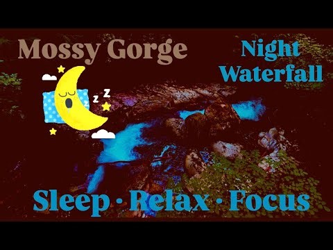 🔴LIVE Relaxing Alpine Forest River Sounds | Pure Nature as it is for Focus and Calm