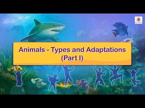 Animals - Types And Adaptations | Science For Kids | Periwinkle