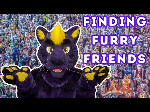 How to FIND YOUR FURRY FRIENDS
