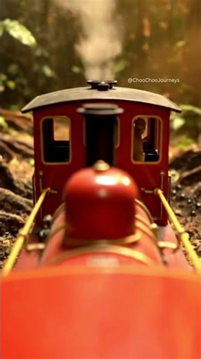 🌿🚂 Choo Choo Journeys: Miniature Train Adventure in the Rainforest | Relaxing Jungle Ambience