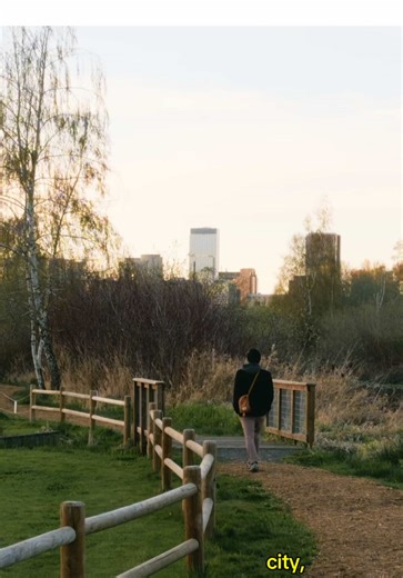 Nature Walk: Heritage Loop Trail, Mercer Slough