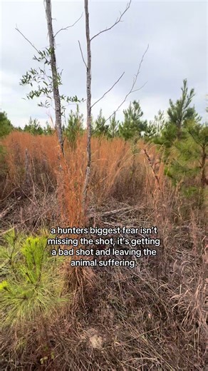 Understanding the Ethics of Responsible Hunting