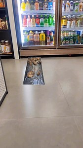 132K views · 1.3K reactions | Buy this rat catcher and save your goose | UKENI TV | Facebook