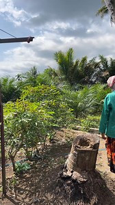 195K views · 2K reactions | Sundat | Eda Horas official | Facebook