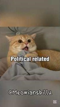 Types of gossip 🤣 #shorts #cat #funny #memes #views #millionviews #gossip #song #catshorts