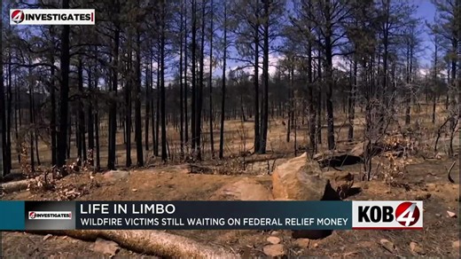 4 Investigates: Burned by FEMA