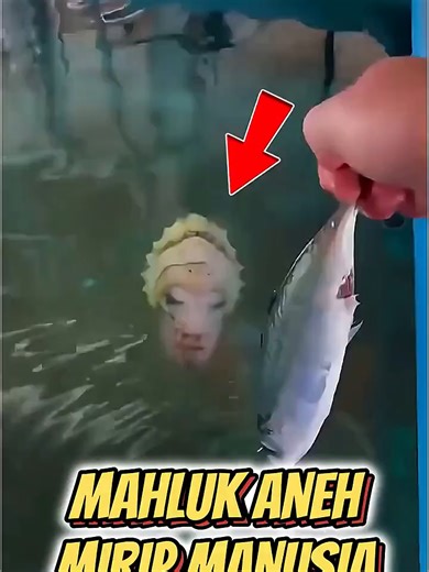 1000 Sehari (@1000sehari)’s videos with original sound - 1000 Sehari