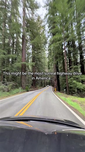 Experience the Surreal Drive Through Humboldt County