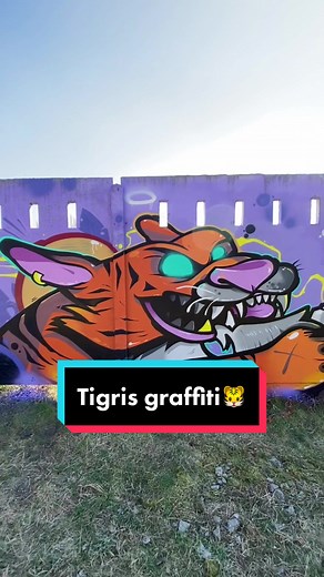 !Legális graffiti! 🐯 #graffiti #tigris #tyger #rajz #art #graffitiforyou #graffititutorial #tutorial #coverup #fedés #győr #hungary #művészet #festés #festmény #rajzom #fypシ