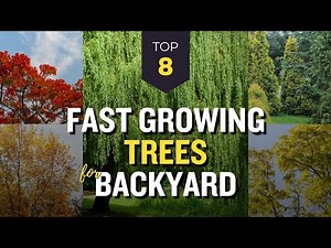 TOP 8 Fast Growing Trees for Backyard 🌳🏠 Garden Landscape 🌿🍁