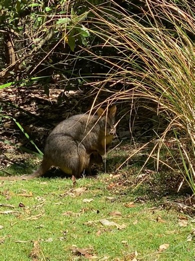 Stephen Lopez on Reels