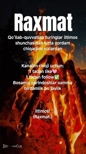 omad kelganda - yangi musiqa