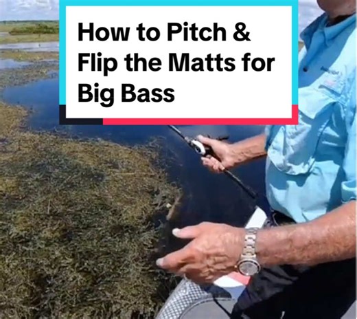 Mastering Pitch and Flip Techniques for Big Bass