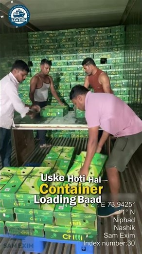 India to Dubai Green Chilli Export Process | ₹1.18 Lakh Profit | Import Export Business