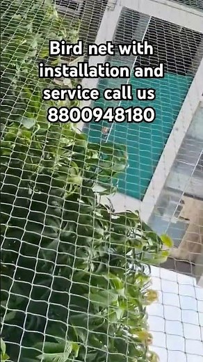 pigeon net service installation and pest control services call us now for booking...8800948180