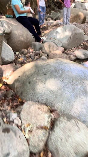 #melcochas #viralvideo #miel | miel pops