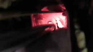 1K views · 48 reactions | What is GOLPP, and how does it help with my...