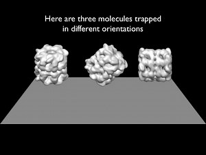 CNB | A 3 minute introduction to CryoEM 对冷冻电镜的技术步骤及作用介绍（生肉！慎食!)