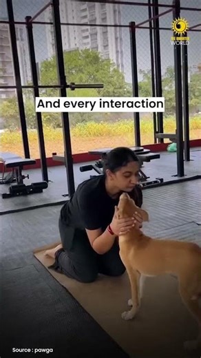 Yoga with a wagging twist | #yoga #goodnews #viralvideos