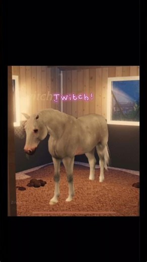 My LCS: Equest role play! | #equestrian #roblox #lcs #lscequest