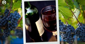 Vino tinto: ¿cuál es el lambrusco y cómo es su sabor?