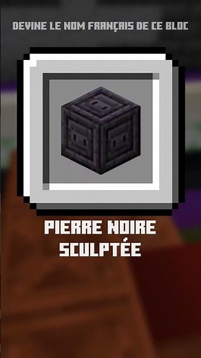 QUICKLY guess the NAMES of these 3 MINECRAFT blocks! Quiz 6