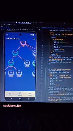 This is my libre skill tree for life built using flutter, I should probably release this !!