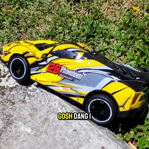 TOY RC CAR Catches FISH | CEO Fishing