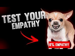 [2021] TEST YOUR EMPATHY - PERSONALITY TEST