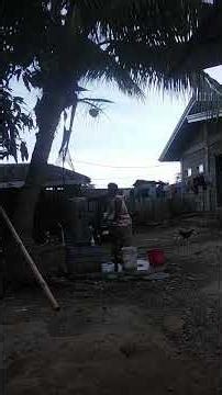 A DAY IN MY LIFE : PERFORMANCE TASK.