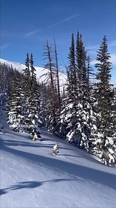 4.7K views · 221 reactions | Our first Motorized Level 2 at MMRS just...