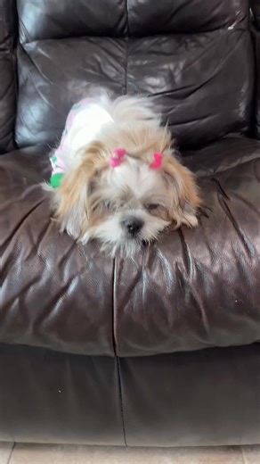 sauceda1072 (@sauceda1072)’s videos with sonido original - 🎼Good_Music🎼