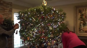 Some people are lucky if their Christmas tree lasts a full month. But one family has been using the same live tree for more than three decades. 🎄☃️😳 | FOX8