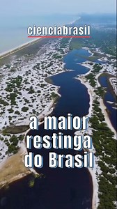 2.4K views · 211 reactions | A MAIOR RESTINGA DO BRASIL | Peter Moon | Facebook