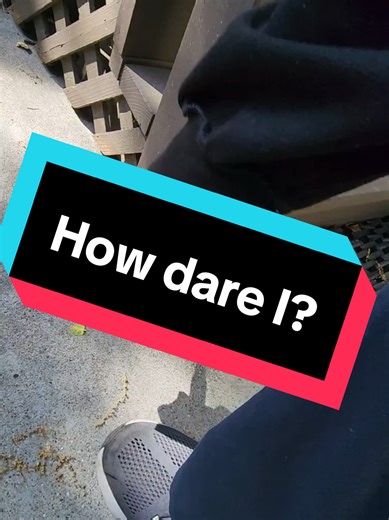 Understanding Termite Damage in Homes