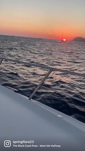 Spring Flora on TikTok