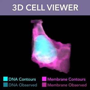 This #DNADay we are CELL-ebrating our #openscience 3D Cell Viewer! It presents our unique large-scale collection of healthy human induced pluripotent #StemCells and their key cell structures visualized in three dimensions. Explore it at https://www.allencell.org/3d-cell-viewer.html #nationalDNADay | Allen Institute