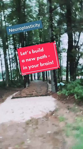 ADHD Coach Ryan Mayer on TikTok