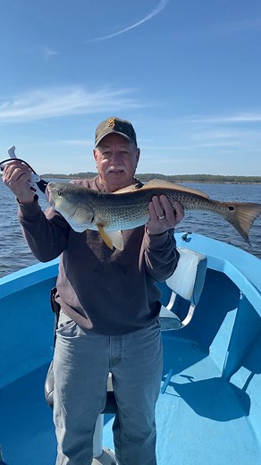 #shellislandfishcamp #reddrumfishing #saintmarksflorida #speckledtrout #inshorefishing #saltwaterfishing #fishing #fishingislife #floridafishing #oldflorida #quitwishinhandgofishing #tightlines | Shell Island Fish Camp