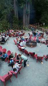 The countdown to 2025 is on! 🎆✨ Whether you’re looking for a peaceful escape in the redwoods or a festive way to close out the year, our scenic experiences are the perfect way to reflect on 2024 and welcome 2025 in style. Don’t miss your chance to make unforgettable memories—book your final adventure of the year today! | Skunk Train