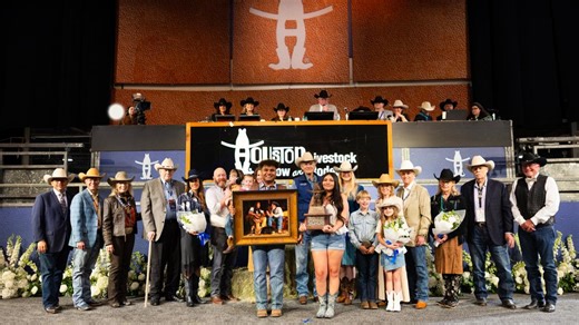 Student artwork sells for record $525K at RodeoHouston School Art Auction
