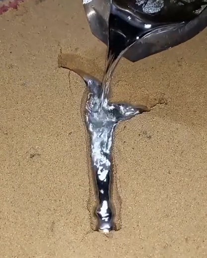 Sheep shearing Videos II on Reels