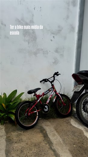 MINI BUGA on Instagram: "A legenda é com vcs .#menorprogresso✍️✊ .#graudebike .#nuncadesista .#bike .#menorsonhador️ .#grau"