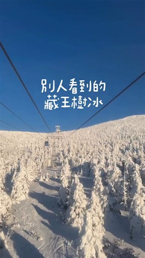 泱泱 𝗨𝗻𝗮👶🏼 | 為什麼我跟別人看到的不太一樣😂 藏王樹冰真的很看運氣 看來我的人品需要再加強😆 謝謝漂亮的藏王影片提供 @oo0402 #藏王樹冰 #藏王 #日本 #山形 #日本旅遊 | Instagram