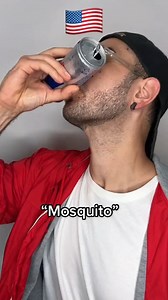 How to say “mosquito” in different languages! #reels #lionfieldmusic #comedу #language #italian | Lionfield