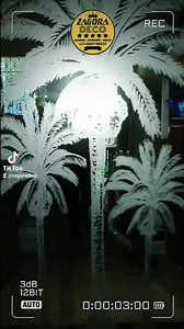 11 reactions | engraving 3 Palm in the mirror  النقش على المرايا و الإرسال إلى جميع المدن Whatsapp: 0669188935 . . . #zagora #agadir #ouarzazate #tanger #morocco #marakech #rabat #maroc #france #germany #mapokko#canada #casablanca #yoga #rabat #newyork #engravingmirror #japan #palm #decoration #homedecor #calligraphy #art #portugal #spain #engravingglass #glass #engraving #mirror #glassengraving | Zagora deco | Facebook