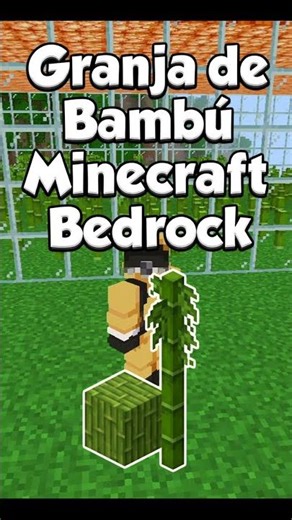 ¡Granja de BAMBÚ🐼 para Minecraft BEDROCK! #minecraftbedrock #minecraft #minecrafttutorial #mcpe