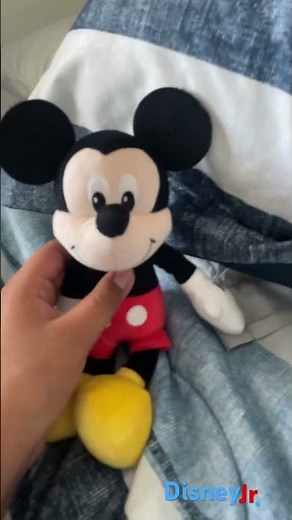 Mickey Mouse trap house was in Disney jr.