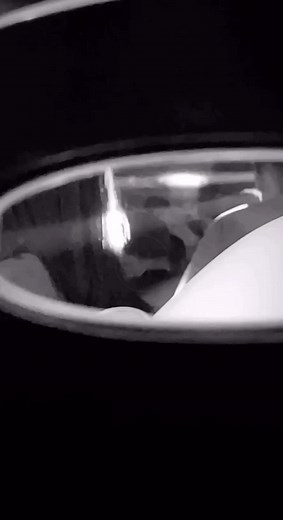 JALA BRAT, DEVITO & BUBA CORELLI-KARAMELA 🤤 #bubacorelli #jalabrat #devitoanonymo #imperia #trending #virtual